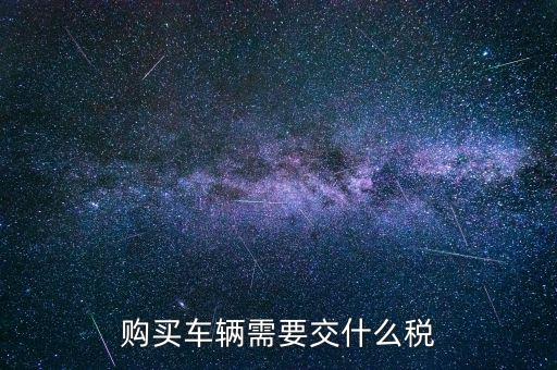 車(chē)輛納稅需要什么，汽車(chē)交稅需要帶什么
