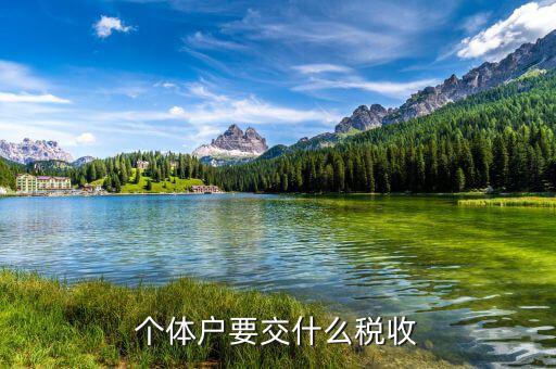 個(gè)體戶(hù)要交什么稅收