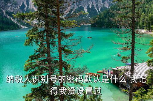 山東默認(rèn)國(guó)稅密碼是什么意思，你好我想問(wèn)你 一下 網(wǎng)上國(guó)稅的用戶(hù)名和密碼是什么