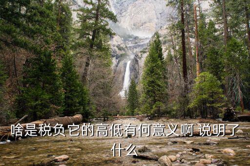 什么是稅負分析，增值稅稅負什么意思