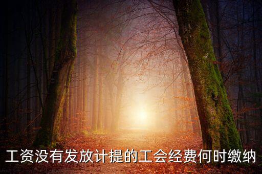 工會(huì)經(jīng)費(fèi)一般什么時(shí)候交，工資沒(méi)有發(fā)放計(jì)提的工會(huì)經(jīng)費(fèi)何時(shí)繳納
