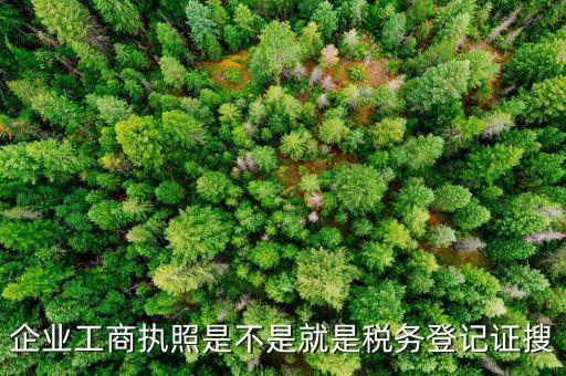 什么是工商稅務(wù)登記證，什么是稅務(wù)證