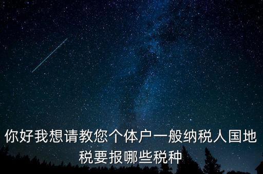 你好我想請(qǐng)教您個(gè)體戶(hù)一般納稅人國(guó)地稅要報(bào)哪些稅種