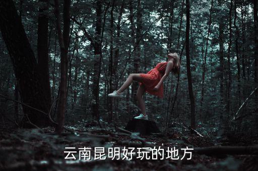 云南昆明地稅旁有什么好玩的地方，云南昆明有哪些好玩的地方