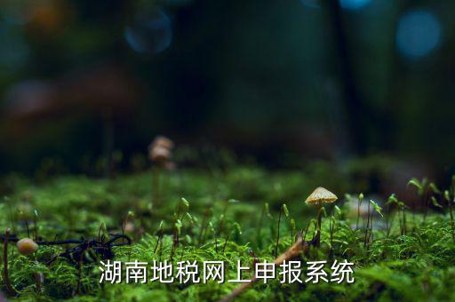 湖南省的地稅報稅軟件是什么，湖南地稅網(wǎng)上申報系統(tǒng)