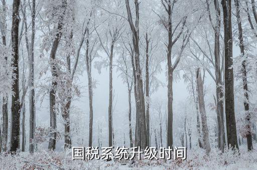 稅務(wù)系統(tǒng)什么時(shí)候更新的，深圳國(guó)稅系統(tǒng)什么時(shí)候換的