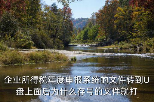 企業(yè)所得稅年度申報(bào)系統(tǒng)的文件轉(zhuǎn)到U盤上面后為什么存號的文件就打