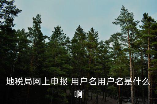 地稅局網上申報 用戶名用戶名是什么啊