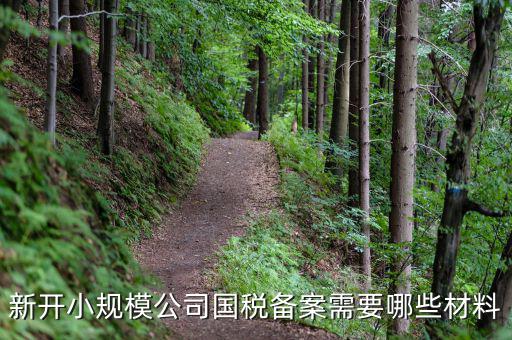 國(guó)稅備案需要什么材料，新開(kāi)小規(guī)模公司國(guó)稅備案需要哪些材料