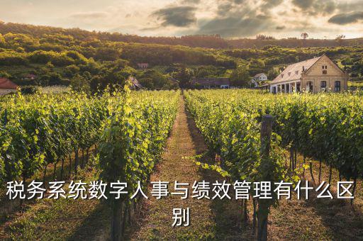 什么是稅務績效管理工作亮點，績效管理是什么