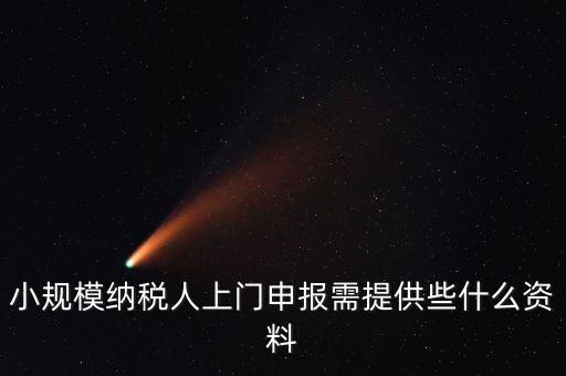 什么是上門申報，小規(guī)模納稅人上門申報需提供些什么資料