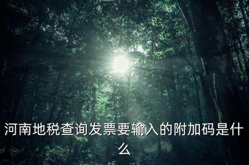 河南發(fā)票密碼是什么樣的，河南地稅查詢發(fā)票要輸入的附加碼是什么