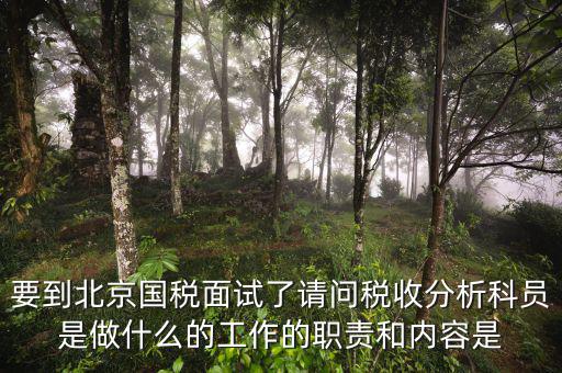 要到北京國稅面試了請(qǐng)問稅收分析科員是做什么的工作的職責(zé)和內(nèi)容是