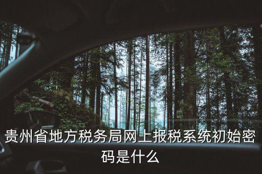黑龍江電子稅務(wù)是什么，貴州省地方稅務(wù)局網(wǎng)上報稅系統(tǒng)初始密碼是什么