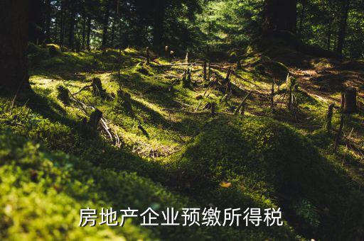 房地產(chǎn)預(yù)繳是什么意思，房價(jià)預(yù)交1萬抵2萬是什么意思