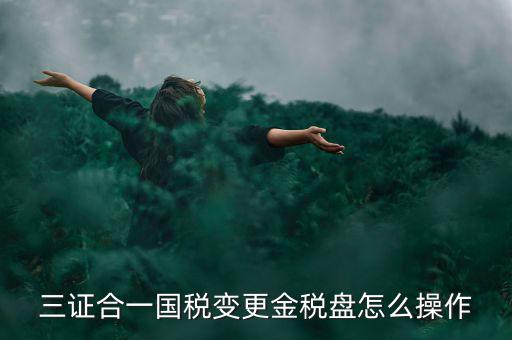 三證合一國(guó)稅變更金稅盤(pán)怎么操作