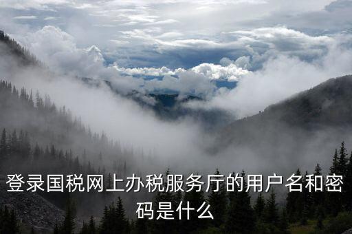 電子稅務(wù)局登陸用戶名是什么，登錄國稅網(wǎng)上辦稅服務(wù)廳的用戶名和密碼是什么