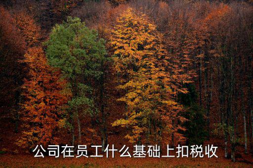 什么是稅收基礎(chǔ)工作，問(wèn)個(gè)問(wèn)題稅務(wù)基本建設(shè) 是個(gè)什么崗位