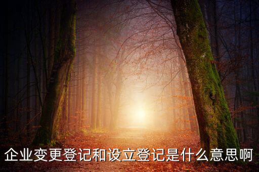 企業(yè)變更登記和設立登記是什么意思啊