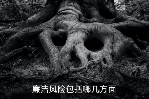 紀律風險是什么意思，什么是廉政風險