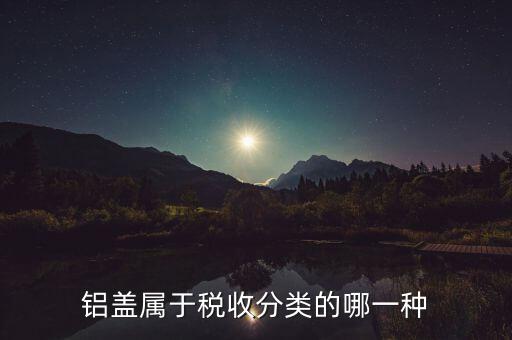 鋁蓋屬于稅收分類(lèi)的哪一種