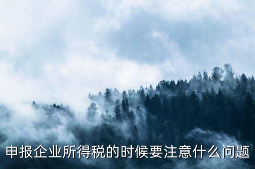 年度企業(yè)所得稅申報(bào)注意什么，申報(bào)企業(yè)所得稅的時(shí)候要注意什么問題