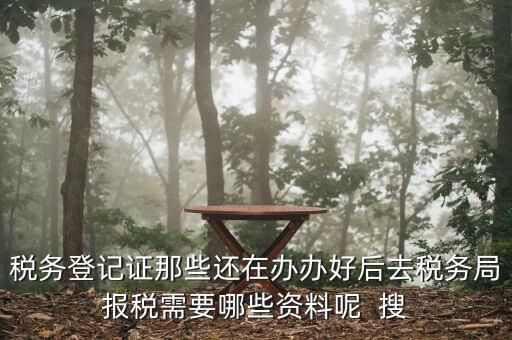 新辦企業(yè)稅務局需要什么資料，稅務登記證那些還在辦辦好后去稅務局報稅需要哪些資料呢  搜