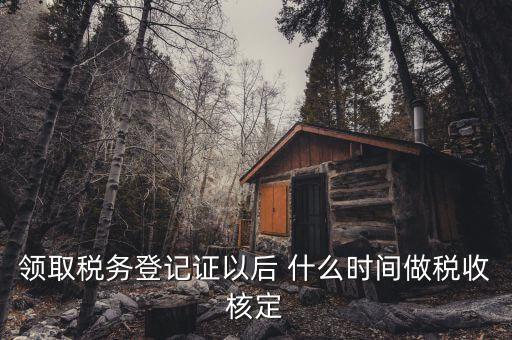 什么時(shí)候需要稅種核定，新注冊(cè)企業(yè)什么時(shí)候要申請(qǐng)稅種核定并購買發(fā)票