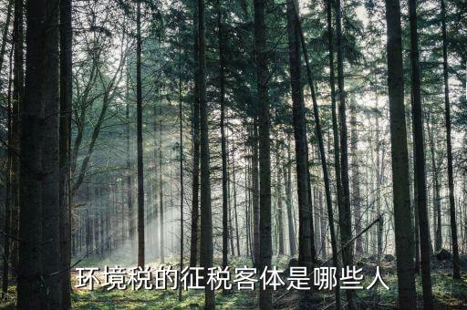 環(huán)保稅納稅人的什么意思，環(huán)境稅是什么意思