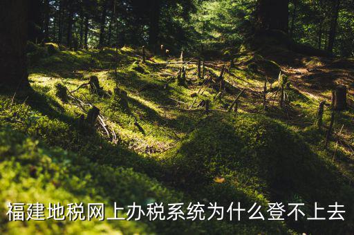 企業(yè)所得稅系統(tǒng)為什么登不上，福建地稅網(wǎng)上辦稅系統(tǒng)為什么登不上去