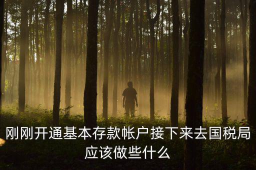 剛剛開通基本存款帳戶接下來去國(guó)稅局應(yīng)該做些什么