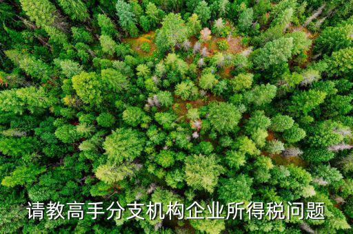 企業(yè)所得稅分管單位是什么意思，企業(yè)所得稅主管稅務(wù)局指的是什么