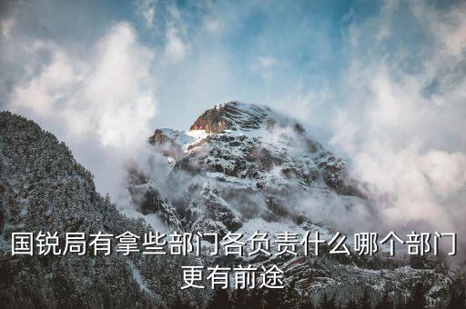 國銳局是辦什么，深圳公司入黑名單注銷吊銷