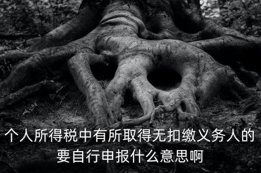 什么叫自行申報，個人所得稅中有所取得無扣繳義務(wù)人的要自行申報什么意思啊