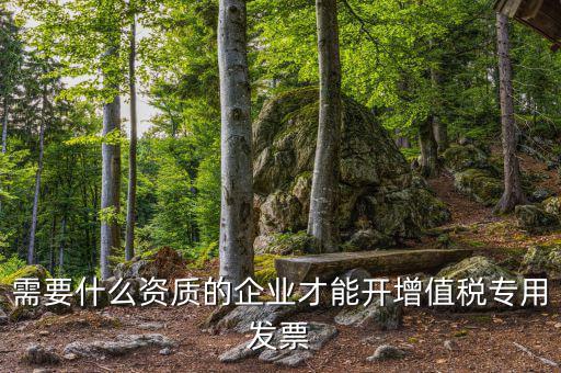 什么公司可以開增值稅專用發(fā)票，什么樣的企業(yè)才能開增值稅專用發(fā)票