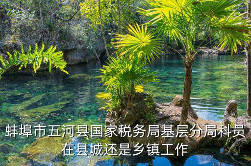 懷遠稅務(wù)局在什么地方，蚌埠市五河縣國家稅務(wù)局基層分局科員在縣城還是鄉(xiāng)鎮(zhèn)工作