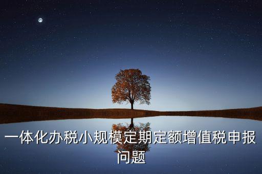 非定期定額戶申報是什么意思，一體化辦稅小規(guī)模定期定額增值稅申報問題