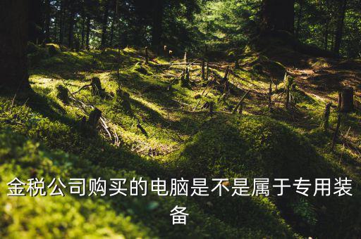 金稅設(shè)備什么時(shí)候買(mǎi)，金稅公司購(gòu)買(mǎi)的電腦是不是屬于專(zhuān)用裝備