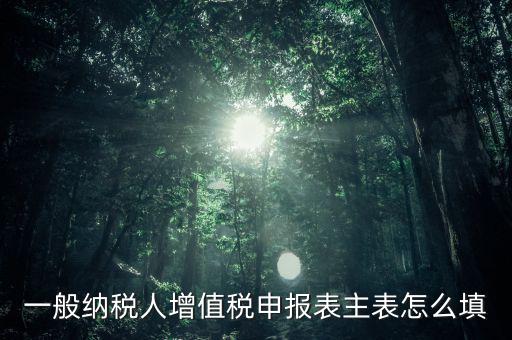一般納稅人主表是什么，一般納稅人增值稅申報(bào)表主表怎么填
