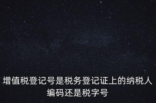 一般納稅人登記編號是什么，納稅人編號是什么