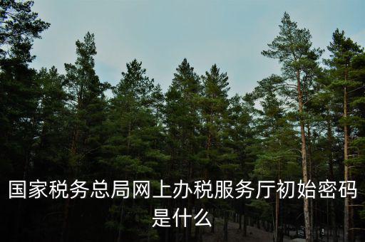 國(guó)稅申報(bào)默認(rèn)密碼是什么意思，國(guó)家稅務(wù)總局網(wǎng)上辦稅服務(wù)廳初始密碼是什么
