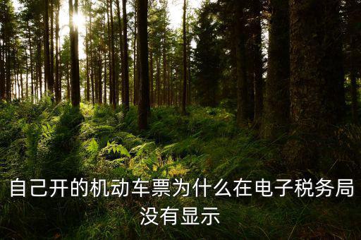 為什么登錄電子稅務(wù)局沒有反映，自己開的機(jī)動車票為什么在電子稅務(wù)局沒有顯示