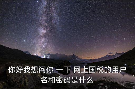 網(wǎng)上稅務辦理密碼是什么意思，國稅第一次網(wǎng)上申報的登陸密碼是什么