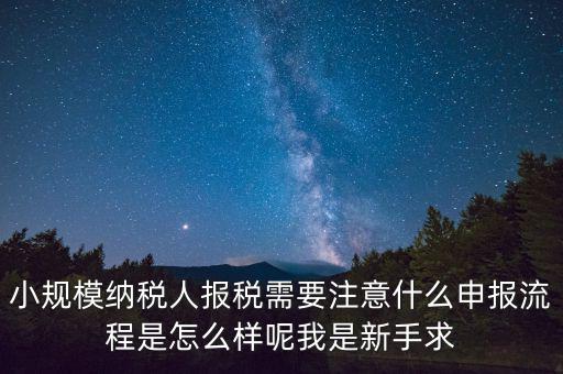 報(bào)稅需要注意什么手續(xù)，一般納稅人每個(gè)月怎么報(bào)稅報(bào)稅時(shí)要注意什么流程是怎么樣的