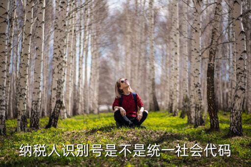 納稅人識(shí)別號(hào) 統(tǒng)一社會(huì)代碼是什么，納稅人識(shí)別號(hào)就是統(tǒng)一社會(huì)信用代碼嗎