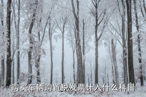 車輛購置發(fā)票是什么，關(guān)于車輛購置稅發(fā)票的問題