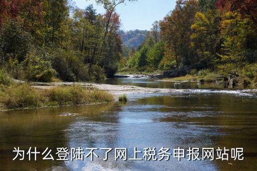 為什么登陸不了網(wǎng)上稅務申報網(wǎng)站呢