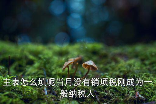 一般納稅人主表是什么意思，一般納稅人申報(bào)表主表的申明人必須輸入是什么意思