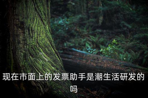 國稅發(fā)票助手是干什么的，現(xiàn)在市面上的發(fā)票助手是潮生活研發(fā)的嗎