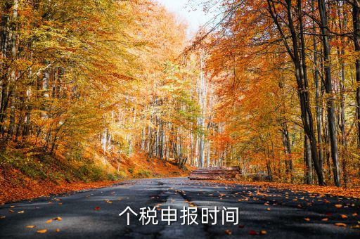 個(gè)人經(jīng)營(yíng)所得稅什么時(shí)候申報(bào)，個(gè)人所得稅明細(xì)申報(bào)什么時(shí)候報(bào)